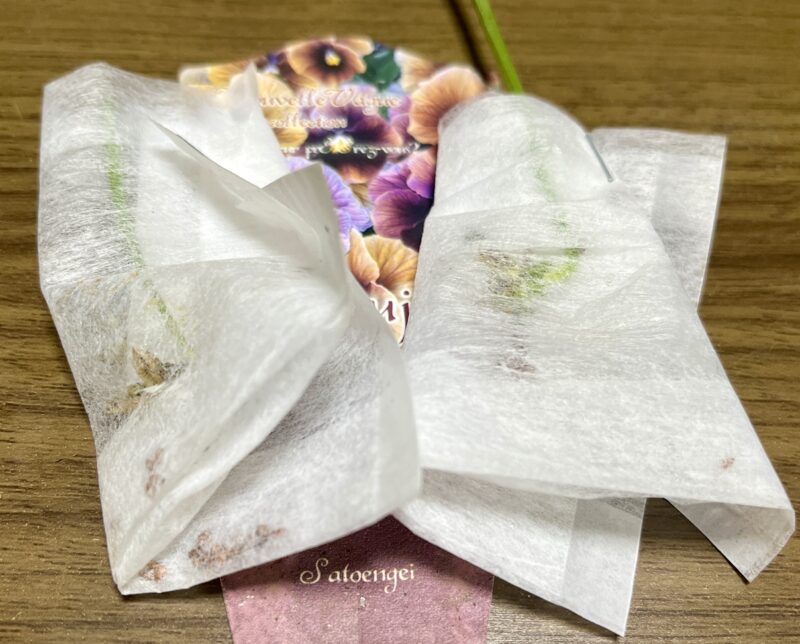 種が取れました