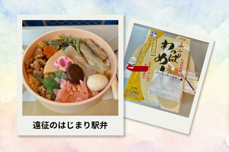 コーチンわっぱめしの駅弁（東京へ向かう新幹線で）