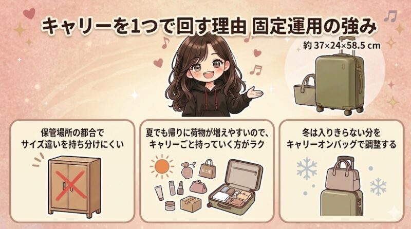 キャリーケースを1つに固定して使う理由を、保管場所・夏の荷物増加・冬のバッグ追加の3点で図解したイラストです。